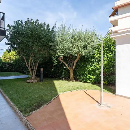 Hauzify I Ramon Llull Daire Salou